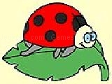 Jouer à Nice ladybug coloring