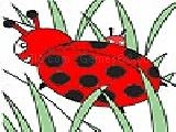 Jouer à Cute ladybug  coloring