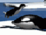 Jouer à Yetisports 2 - orca slap