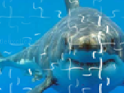 Jouer à Shark jigsaw puzzle