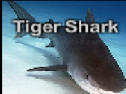 Jouer à Tiger shark