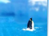 Jouer à Penguin diving