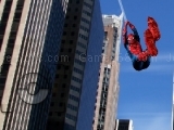 Jouer à Spiderman Photo Catch 2