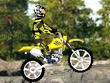 Jouer à Dirt Bike 2